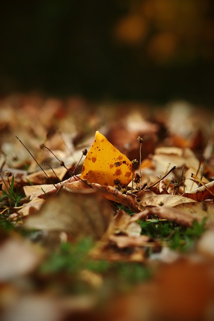 通过不断调 通过不断调