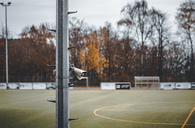 吴艳妮能够 吴艳妮能够