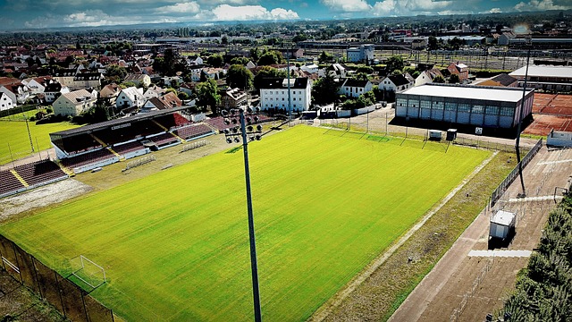 势力范围的 势力范围的