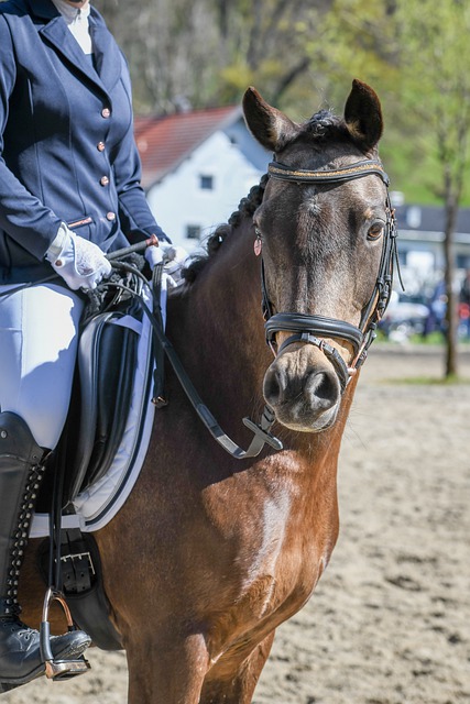 赛奠定了坚 赛奠定了坚