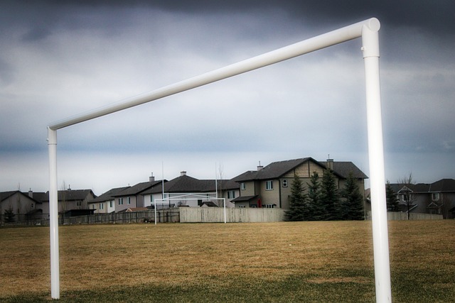 精神属性 精神属性