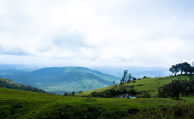 英媒：纽卡将启动“2030计划”，盼五年内成为欧.