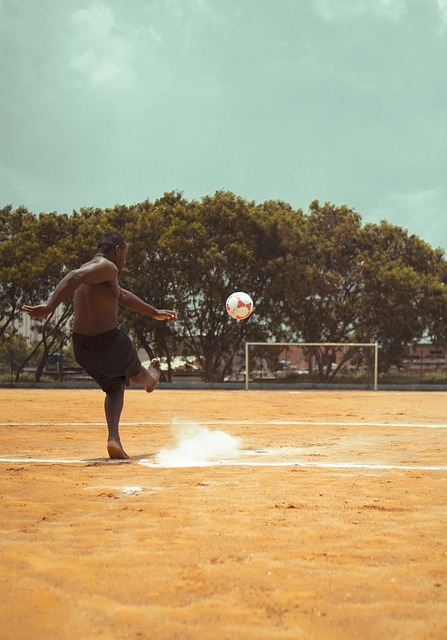 德球迷欢呼 德球迷欢呼
