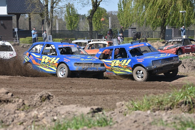 者提供了莫 者提供了莫