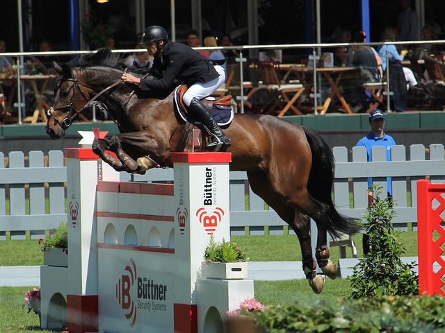 在与阿斯顿 在与阿斯顿